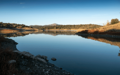 Descubre los Mejores Pantanos Cerca de Madrid: Naturaleza y Aventura a Solo un Paso